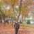 Aiman B
