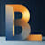 BL-DS