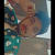 Haider Ali