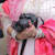 gidah86