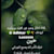 Nanasaad