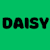 Daisy Mr