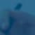 Jeffre Y