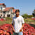 Rohit K