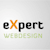 Web Expert