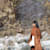 gyanashreebis