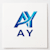 A Y