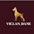 viclan
