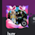 ZangyaY