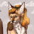 Ritoru Wolf