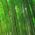 Mixhg H