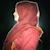 Aiman Hanif