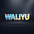 Waliyu