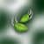 Leaf Studio