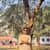 Rudranil Sarkar