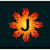 Jhulas M