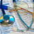 dr_hazonto
