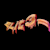 elite_3