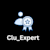 Clu Expert