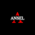 AnselDigital