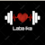 Laba I