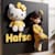 Hafsa O