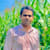 Shoaib M
