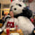 pandajingjing