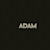 Adam Wesly