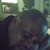Godwin O