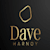 Dave S
