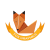 Fox Graphics