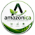 Amazonica