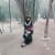 Tooba