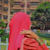 Nowshin A