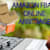 Onlinearbitrage
