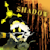 Shadow