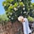 Gowtham M