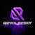 QOWILEESKY O.