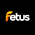 FESTUS FLUX