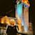 Nitesh T