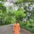 Pritam