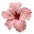 Sathmini