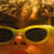 NoblePercent