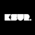 Ksur Services