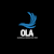Olawale S