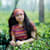 Humaira