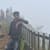 Shagin Deepu