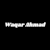 Waqar Ahmad