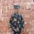 Pratima P